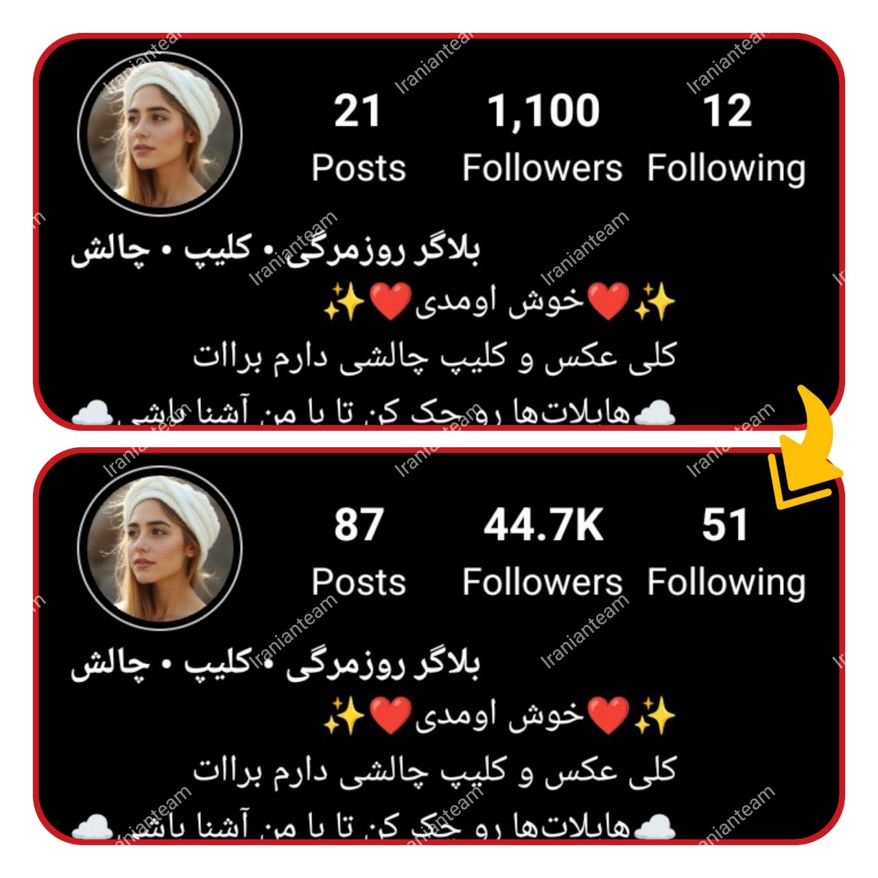 رشد پیج‌ها